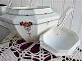 Shelley Red Daisy Queen Anne Teapot Art Deco Paneled Bone China Octagonal