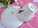 Fall Grasses Cup And Saucer 1930s English Bone China Black Pink