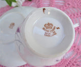 Fall Grasses Cup And Saucer 1930s English Bone China Black Pink