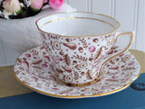 Rosina Fall Chintz Cup And Saucer Hand Colored 1930s Oak Acorns Pears Daisies