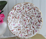Rosina Fall Chintz Cup And Saucer Hand Colored 1930s Oak Acorns Pears Daisies