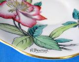 Rosina Artist Signed Lilies Cup And Saucer Hand Colored 1930s Blue Exterior