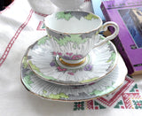 Royal Stafford Art Deco Teacup Trio Hand Colored on Transfer Foliage 1930s