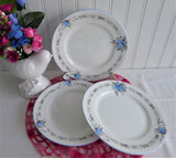 Shelley England Set of 3 Blue Acacia Mimosa 7 Inches Plates Art Deco 1930s