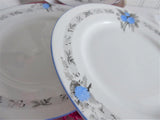 Shelley England Set of 3 Blue Acacia Mimosa 7 Inches Plates Art Deco 1930s