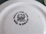 Sweet Rosebud Hand Painted Cup And Saucer Phoenix England Forester 1930s
