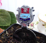 Tea Caddy Spoon Rhyl Tea Scoop Souvenir Teabag Caddy 1930s Enamel Finial