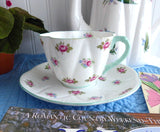 Shelley Teacup And Saucer Rosebud Dainty Shape blue Trim Bone China