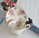 Cup And Saucer Royal Chelsea Pink Peach Blossoms 1936-1943 English Bone China