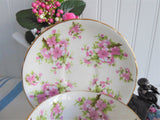 Cup And Saucer Royal Chelsea Pink Peach Blossoms 1936-1943 English Bone China
