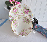 Cup And Saucer Royal Chelsea Pink Peach Blossoms 1936-1943 English Bone China