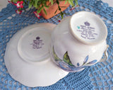 Royal Albert September Morning Glory Cup And Saucer Flower Of The Month 1940s