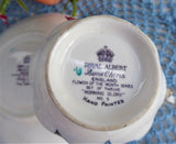 Royal Albert September Morning Glory Cup And Saucer Flower Of The Month 1940s