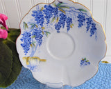 Wistaria Cup and Saucer Hand Colored On Blue Transfer 1940s Royal Stafford England