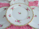 Shelley Bridal Rose Combo Plates Set Of 4 Side Plates Richmond Bread 1940s