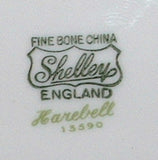 Shelley Dainty Harebell Cream Soup Cup and Saucer Large Double Handle Cup 1940s