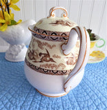Shelley  Teapot Storks Herons Yellow Brown Gainsborough Shape Birds 1940s