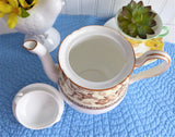 Shelley  Teapot Storks Herons Yellow Brown Gainsborough Shape Birds 1940s