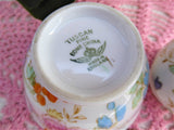 Lovely Cream And Sugar 1940s Hand Colored On Transfer Floral Tuscan