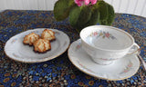 Winterling Mayerling Cup Saucer Plate Bavaria Pastel Floral 1940s Teacup Trio