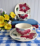 Pair of Cups And Saucers Blue Ridge Poinsettia Teacup 1940s Colonial Shape Holiday