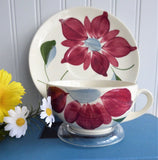 Pair of Cups And Saucers Blue Ridge Poinsettia Teacup 1940s Colonial Shape Holiday