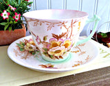 Blush Pink Wild Roses And Trees Cup And Saucer Art Deco Hand Colored Transferware 1940s