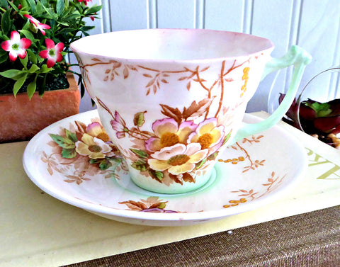 Blush Pink Wild Roses And Trees Cup And Saucer Art Deco Hand Colored Transferware 1940s