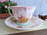 Blush Pink Wild Roses And Trees Cup And Saucer Art Deco Hand Colored Transferware 1940s