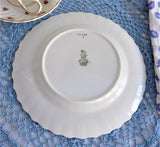 Royal Doulton Rosebud 8.25 Inch Salad Plate Rosebuds 1940s Tea Plate