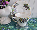 Wisteria Cup and Saucer Rosina England Hand Colored On Black Transfer Red Enamel Accents