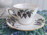 Wisteria Cup and Saucer Rosina England Hand Colored On Black Transfer Red Enamel Accents