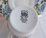Cup and Saucer Rosina England Hand Colored Blue Dog Roses On Black Transfer Art Deco
