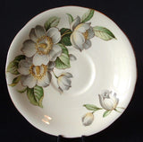 Saucer England Bone China Aynsley Dogwood Vintage Saucer Only