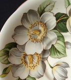 Saucer England Bone China Aynsley Dogwood Vintage Saucer Only