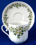 Bavarian Apple Blossom Cup And Saucer Porcelain Seltmann 1946-1970