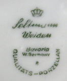 Bavarian Apple Blossom Cup And Saucer Porcelain Seltmann 1946-1970