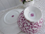 Coalport Maple Time Chintz Cup And Saucer Pink Mulberry Bone China 1949-1960