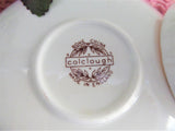 Pink Carnations Cup and Saucer Colclough Wild Flower Bouquets 1950s