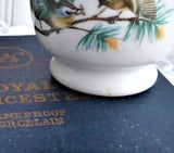 Royal Worcester Egg Coddler Pair Birds Single 1950 Porcelain Original Box