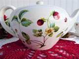 Strawberry Teapot Large Berries Butterflies James Kent Old Foley 1950s