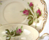 Fancy Cup And Saucer Moss Rose Norcrest Demi Teacup 1950s Hand Painted Gold