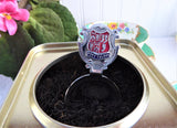 Port Talbot Wales Tea Caddy Spoon 1940s Souvenir Chromium Plate Enamel Tea Scoop
