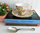 Spring Blossom Chintz Cup And Saucer Rosina 1950s Coral Yellow Blue