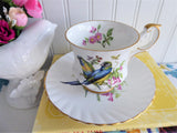 Rosina Birds Cup And Saucer Blue Winged Parrots 1950s English Bone China