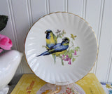Rosina Birds Cup And Saucer Blue Winged Parrots 1950s English Bone China