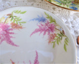 Royal Chelsea Butter Pat English Butter Chip Astilbe 1950s Teabag Caddy Ring Dish