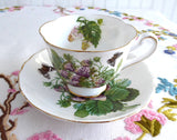 Fruit Cup And Saucer Royal Chelsea Pears Strawberries England 1960s Butterflies