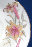 Royal Grafton Cup And Saucer Pink Lilies Bone China 1950s English Elegant Afternoon Tea