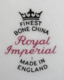 English Bone China Mug Pink Blue Floral Gold Trim 1950s Royal Imperial